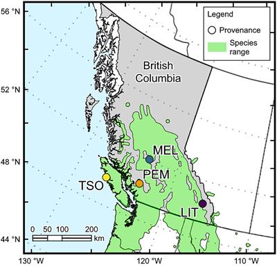 Autumn Warming Delays the Downregulation of Photosynthesis and Does Not Increase the Risk of Freezing Damage in Interior and Coastal Douglas-fir